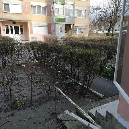 La Botu Timisoara